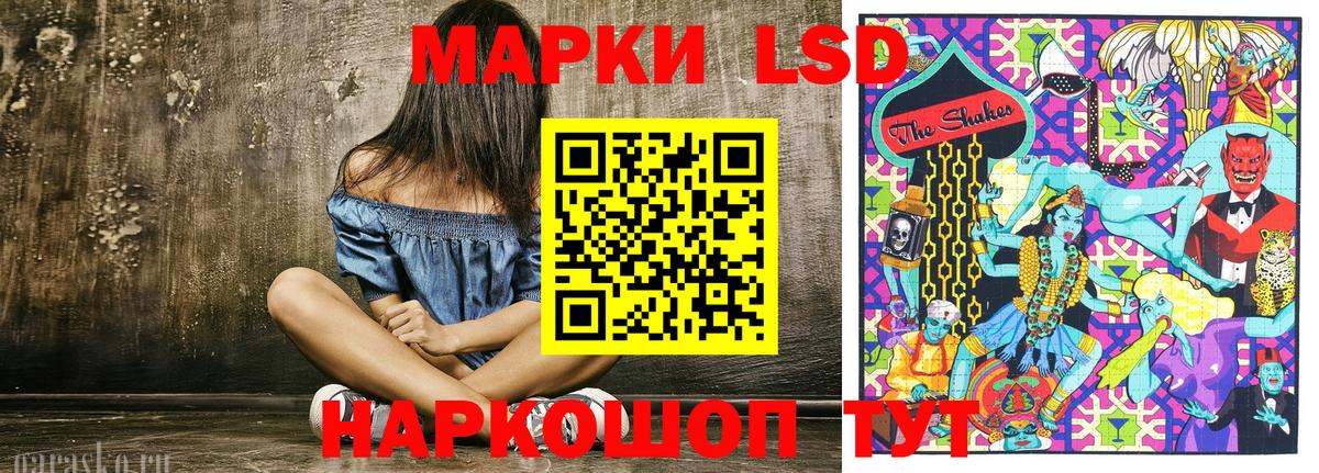 Новороссийск  Наркотические марки  Вход с VPN  Наркотические марки 1,5мг 
