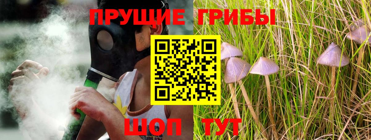 Галлюциногенные грибы Psilocybine cubensis  Псилоцибиновые грибы ЛСД  Вход с VPN  Новороссийск 