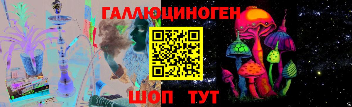 Псилоцибиновые грибы мухоморы Новороссийск